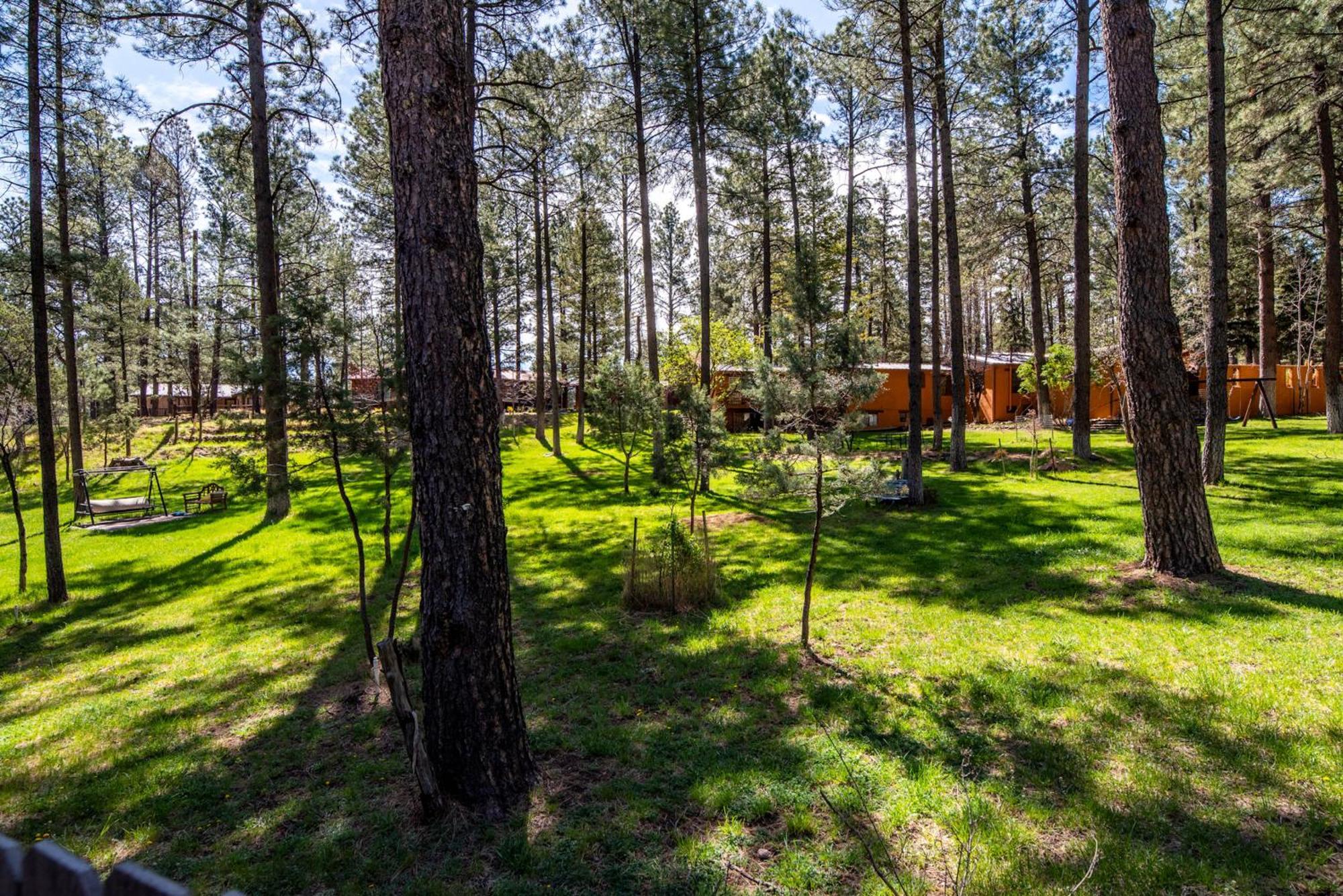 Rustic Pines Retreat Villa Ruidoso Phòng bức ảnh